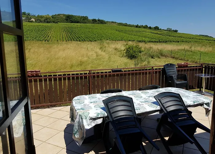 Maison Au Milieu Des Vignes