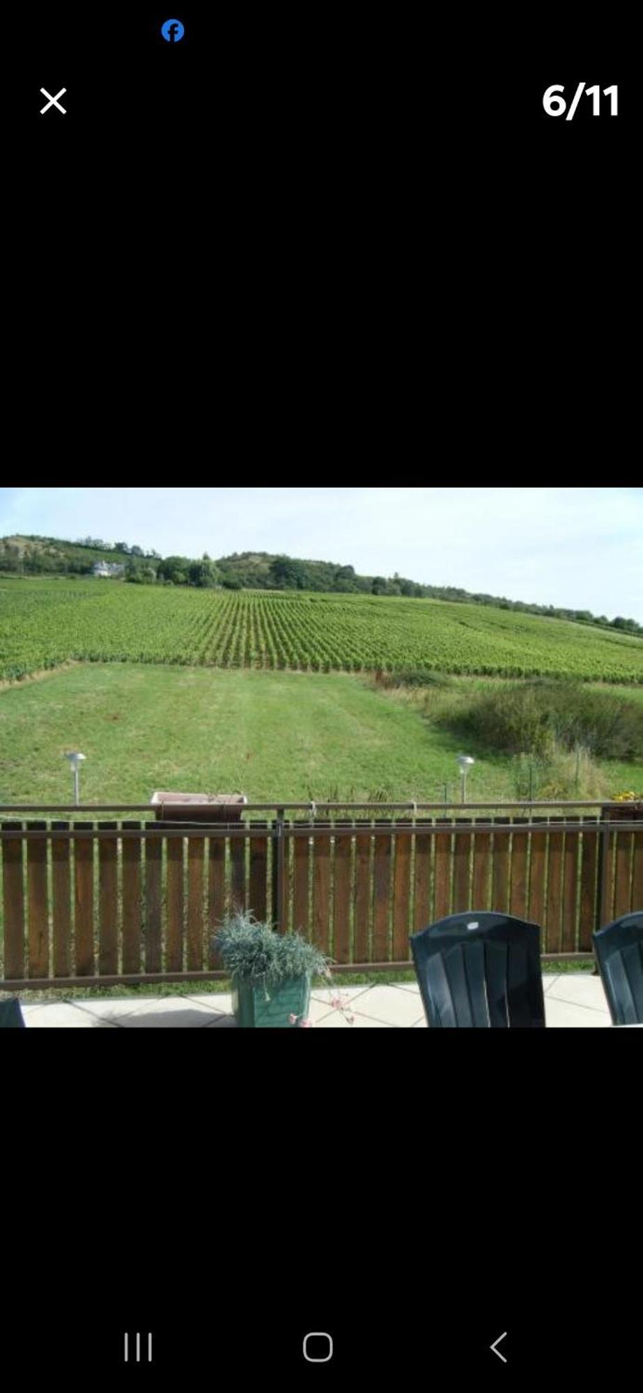 Maison Au Milieu Des Vignes
